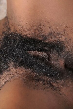 High Quality HD Photo Of Exquisite Hairy Jordan